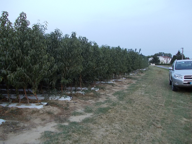 prima immagine della sezione chi siamo