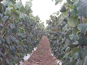 terza immagine della sezione chi siamo