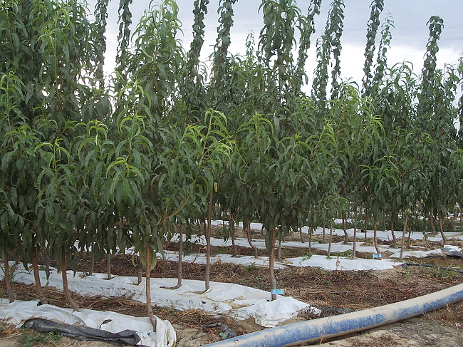 quarta immagine della sezione chi siamo